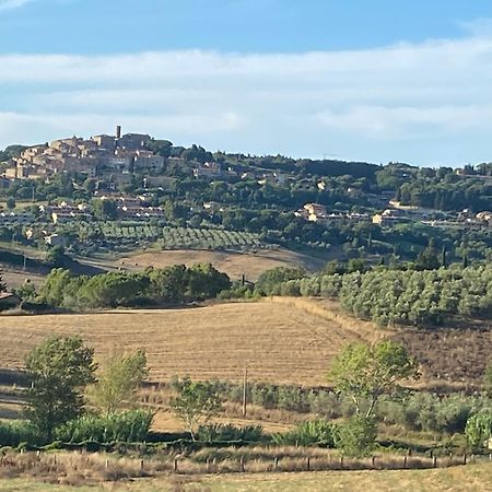 Podere Campo Alle Serpi Bibbona Exterior foto