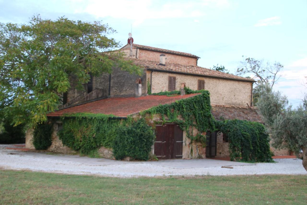 Podere Campo Alle Serpi Bibbona Exterior foto