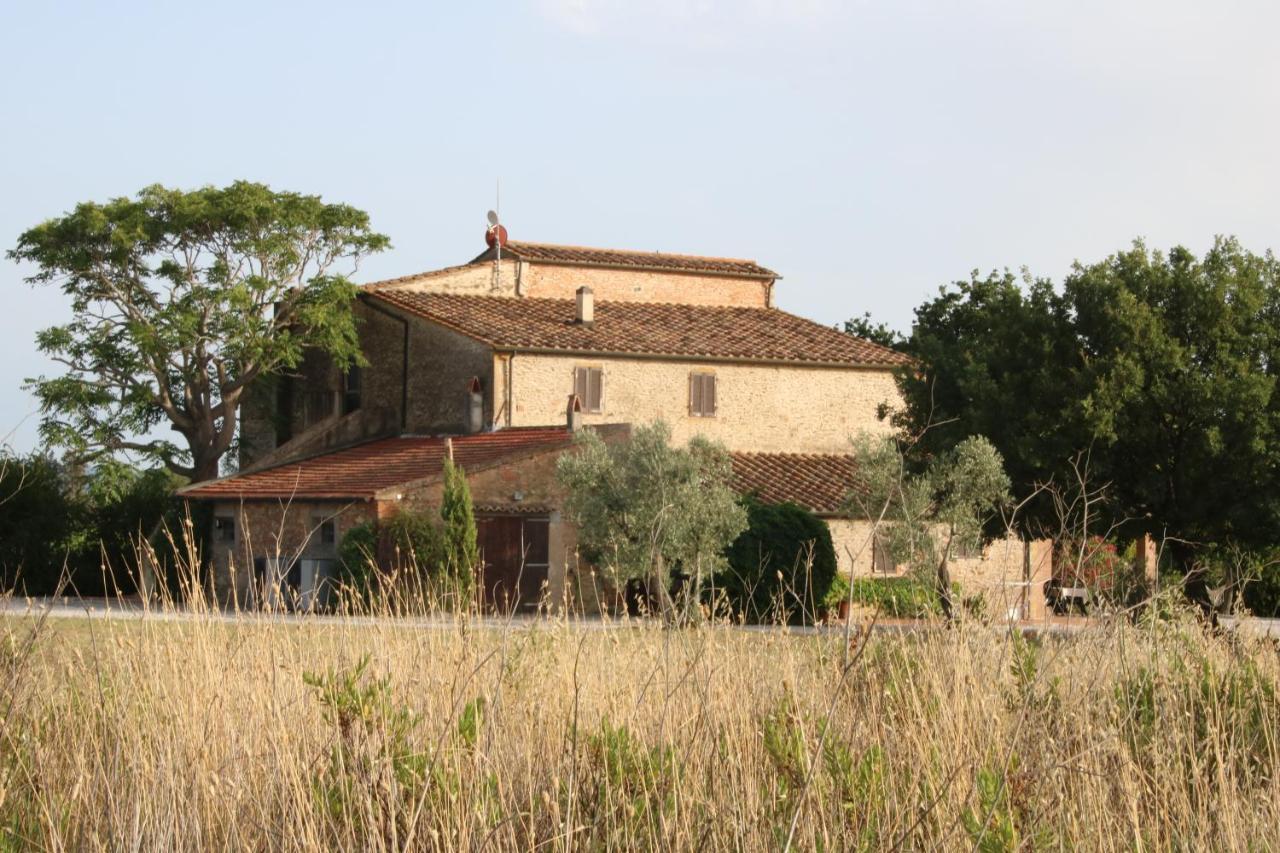 Podere Campo Alle Serpi Bibbona Exterior foto