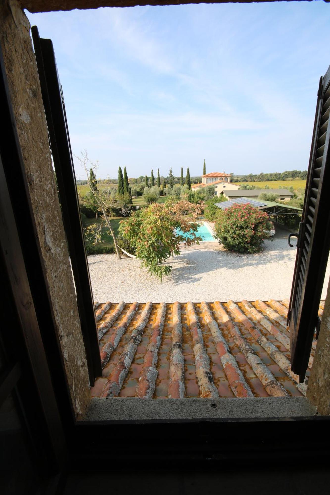 Podere Campo Alle Serpi Bibbona Exterior foto